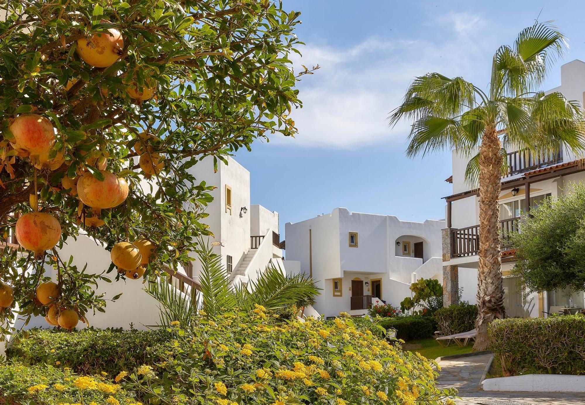 Alexander Beach Hotel & Village Resort Malia  Ngoại thất bức ảnh